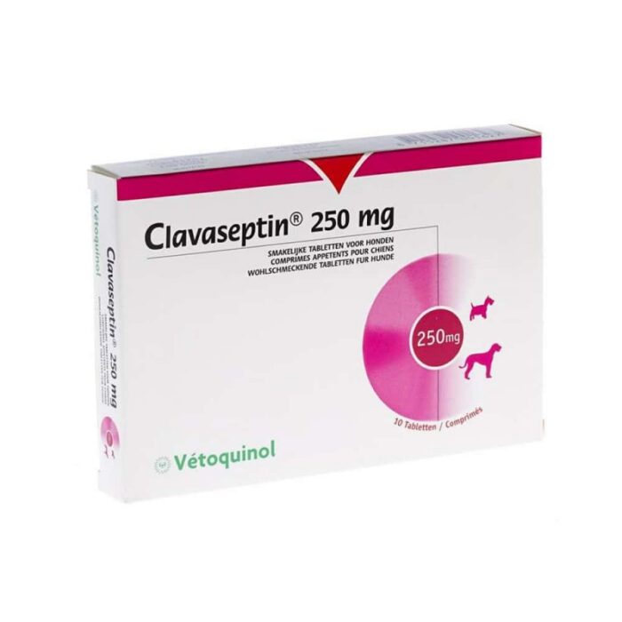 CLAVASEPTIN COMPRIMIDO 250 MG X 10