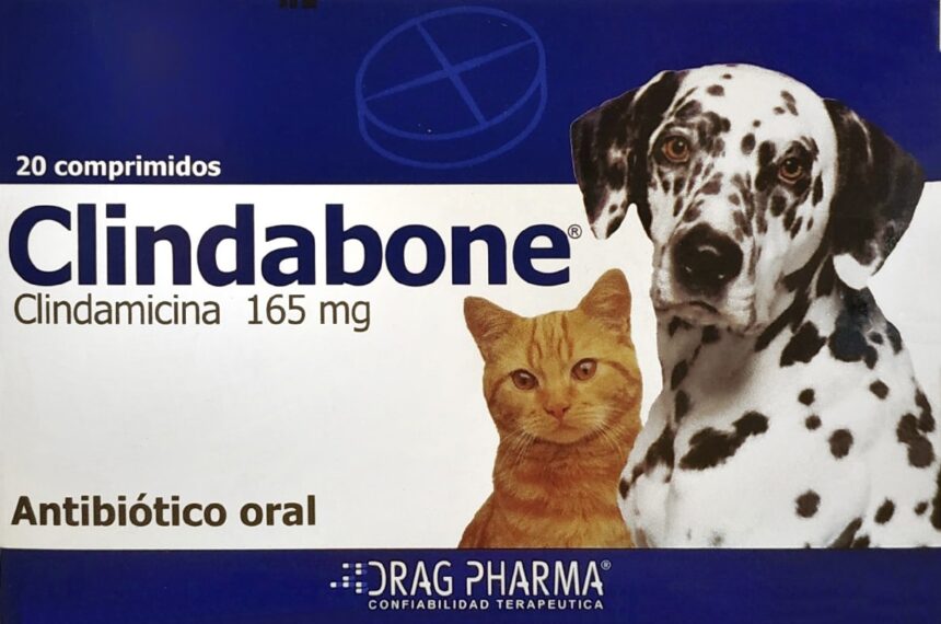 CLINDABONE COMPRIMIDO 165 MG X 20